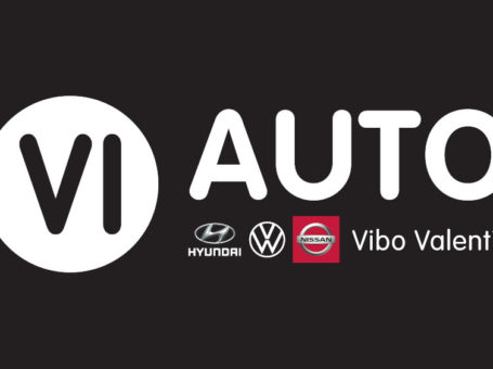 VI. Auto Concessionaria